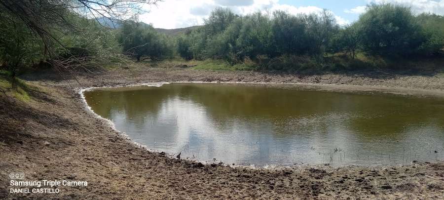 PHOTO-2024-01-07-14-19-33 3.jpg